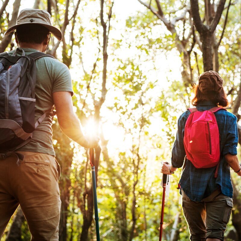Beigua UNESCO Geopark: Trekking in the Wilderness Above Savona