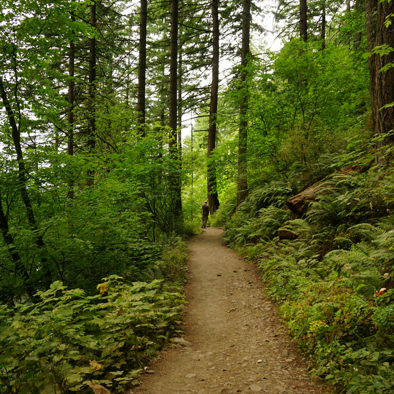 Convegno sulla sentieristica savonese