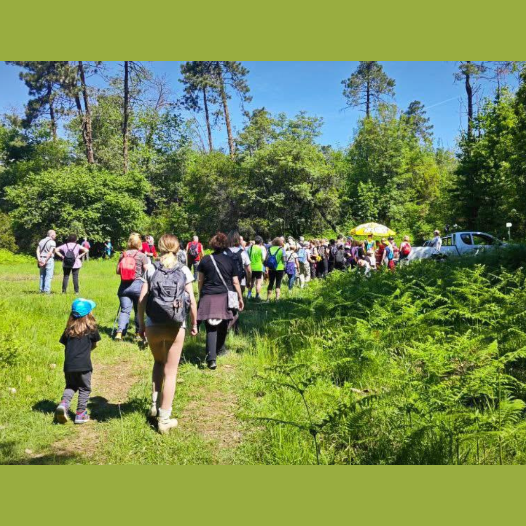Trekking Urbano: Passeggiata nella valle del Lavanestro