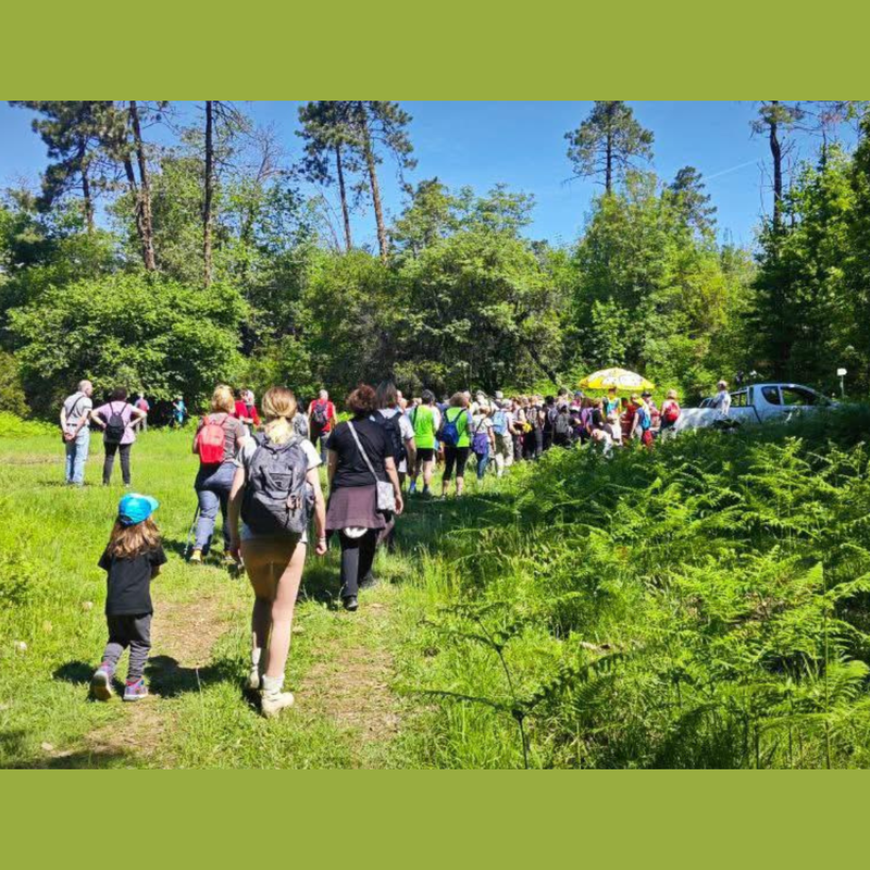 Trekking Urbano: Passeggiata Nella Valle Del Lavanestro