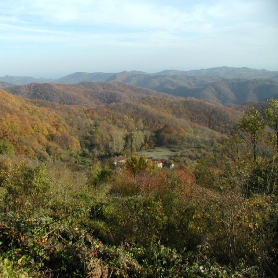 Trekking Urbano LE STRADE DI UNA VOLTA ATTRAVERSO I BOSCHI DA “FIN DE SANN A” (FORESTA DEMANIALE DI CADIBONA)