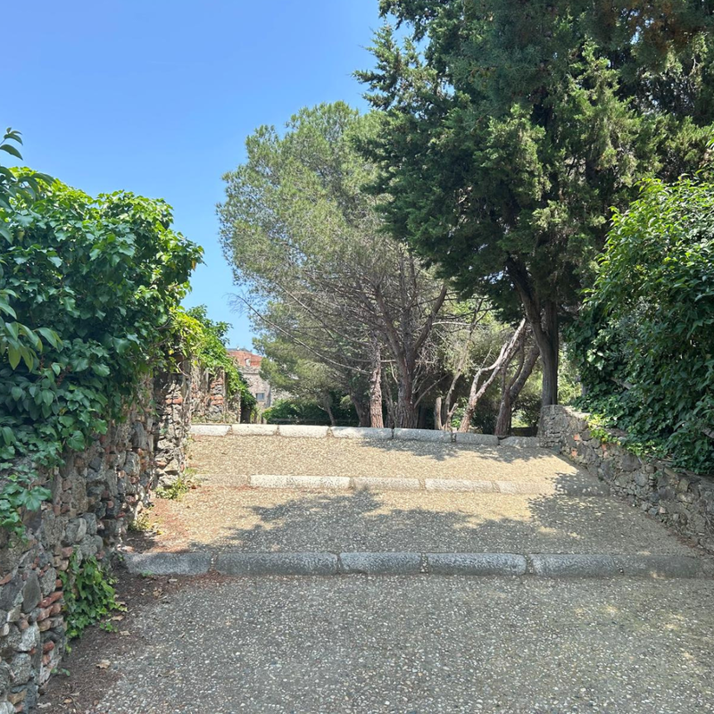 Trekking urbano: tra il verde del centro