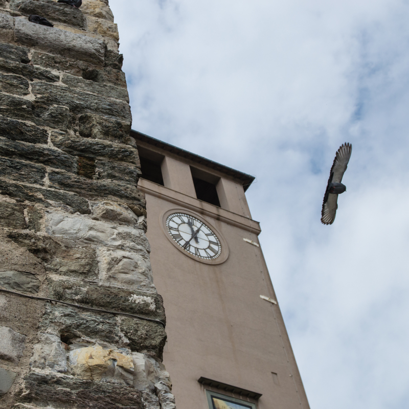 Trekking Urbano: Ma siamo sicuri di conoscere le torri di Savona?
