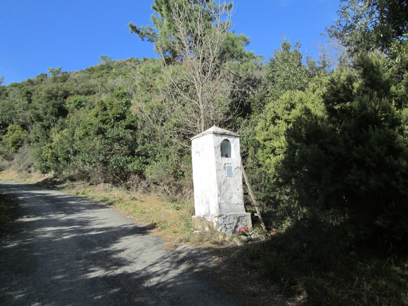 Trekking Urbano : Lungo la Strada Saonensis