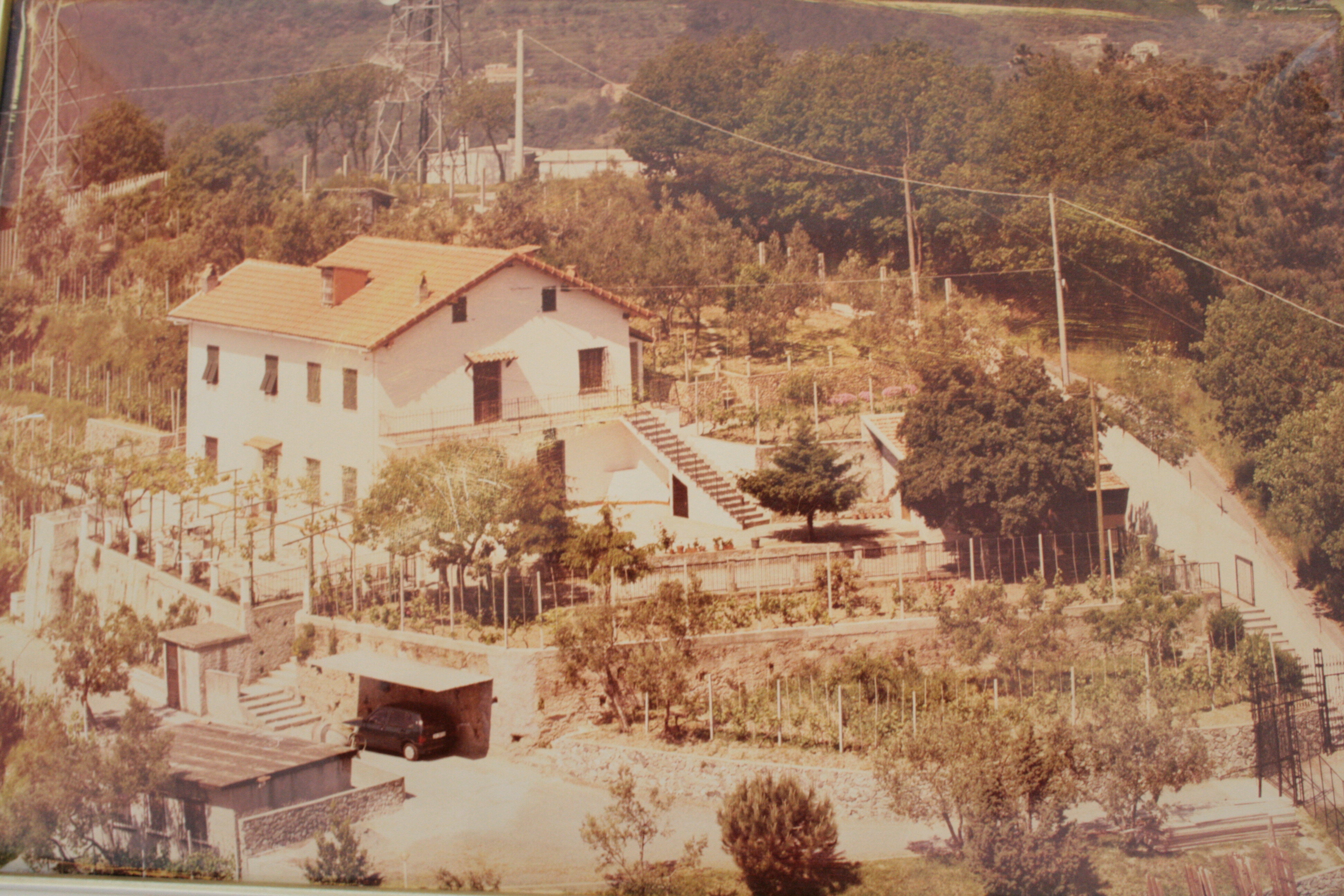 Il Giardino Degli Ulivi